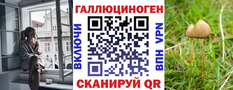 Купить закладки  Шахты  Псилоцибиновые грибы прущие грибы 